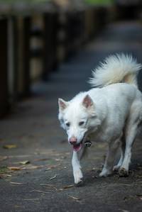 BIB: 
                            <button type="button" onclick="openModal(21805626)" class="btn btn-primary btn-sm float-right btn-popup" data-toggle="modal" data-target=".modal-high-quality">
                        <i class="fas fa-shopping-cart"></i> Add to Cart
                    </button>
                                            <button type="button" onclick="isThisMe(21805626, true)" class="btn btn-success btn-sm float-right btn-popup btn-isme hidden" data-toggle="tooltip" data-placement="bottom" title="นี่คือรูปของคุณใช่ไหม คลิกที่นี่เพื่อเอาเข้าอัลบั้ม">
                        <i class="fas fa-plus"></i> Add to album
                    </button>
                    <button type="button" onclick="isThisMe(21805626, false)" class="btn btn-warning btn-sm float-right btn-popup btn-isnotme hidden">
                        <i class="fas fa-ban"></i> Remove from album
                    </button>